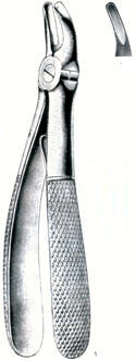 Tooth